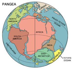 Theory of the Continental Drift