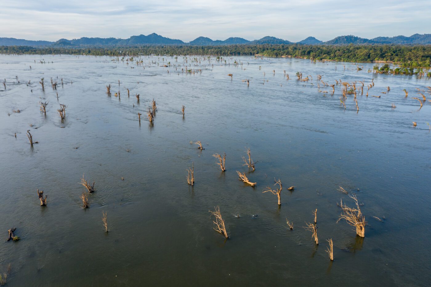Impact of Disasters on Ecosystem