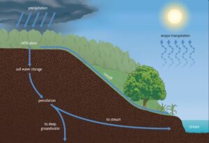 Runoff, Collection, and Infiltration of Water to Complete the Water Cycle