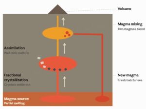 The diagram follows magma from its source up to the volcano. Magma is less dense than the surrounding rock, so it rises through cracks (the pale arrows) into chambers.